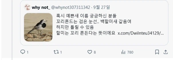 전문가들도 구별이 아주 어렵다는 새.jpg_4.webp