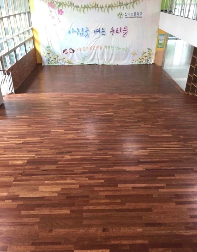 암살에 특화된 학교_1.webp