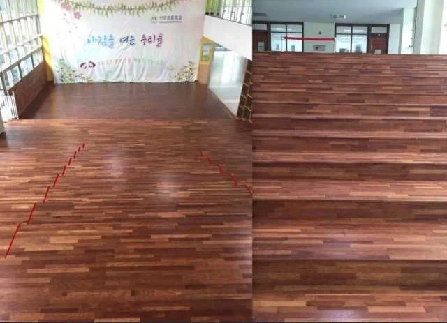 암살에 특화된 학교_2.webp