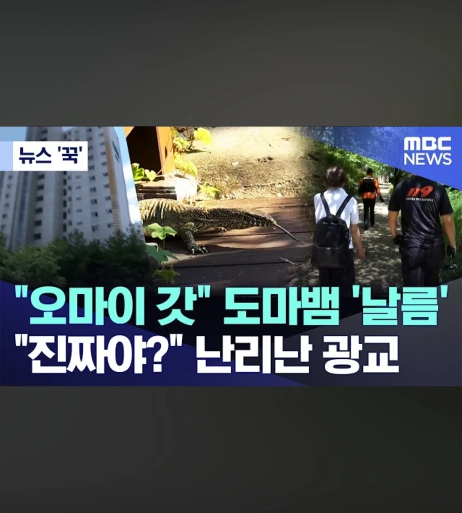 또 괴생명체 등장한 한국_1.webp