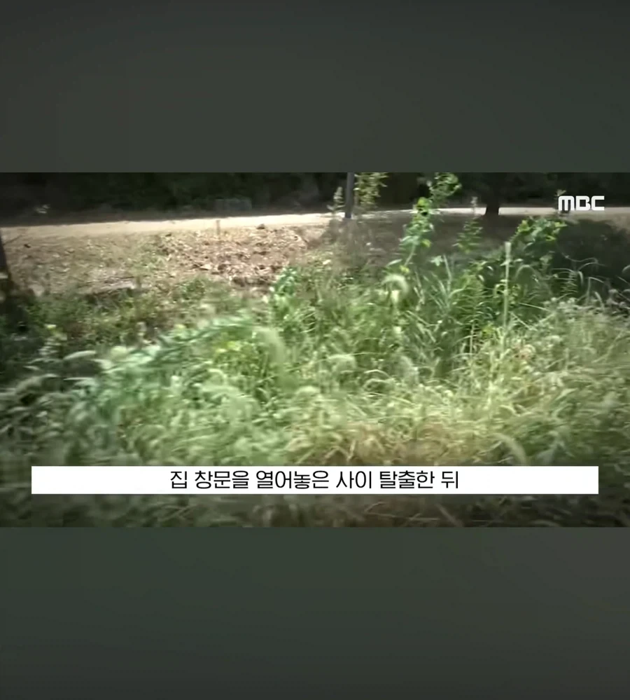 또 괴생명체 등장한 한국_6.webp