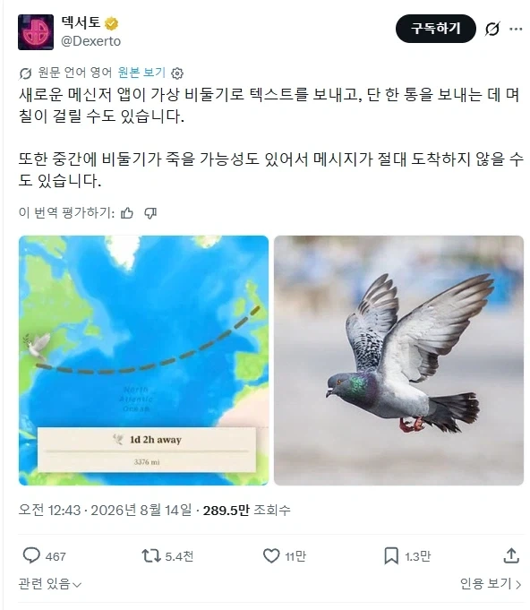 새 메신저 앱_1.webp