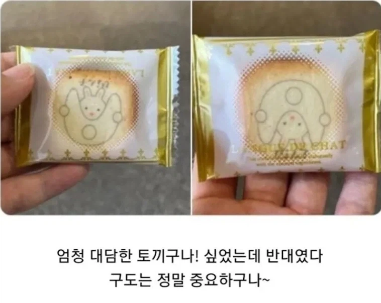 대담한 토끼_1.webp