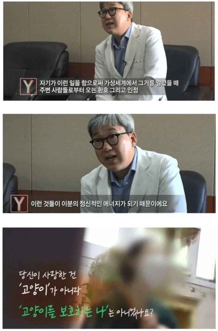 정신과 의사의 냉정한 캣맘 분석글.jpg_1.webp