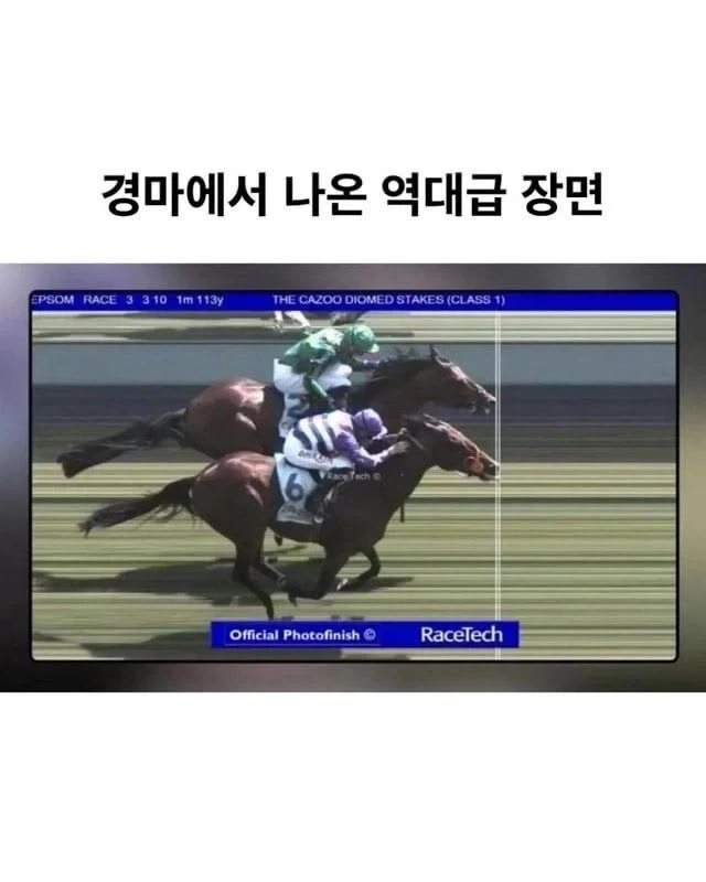 경마에서 나온 역대급 명장면_1.webp