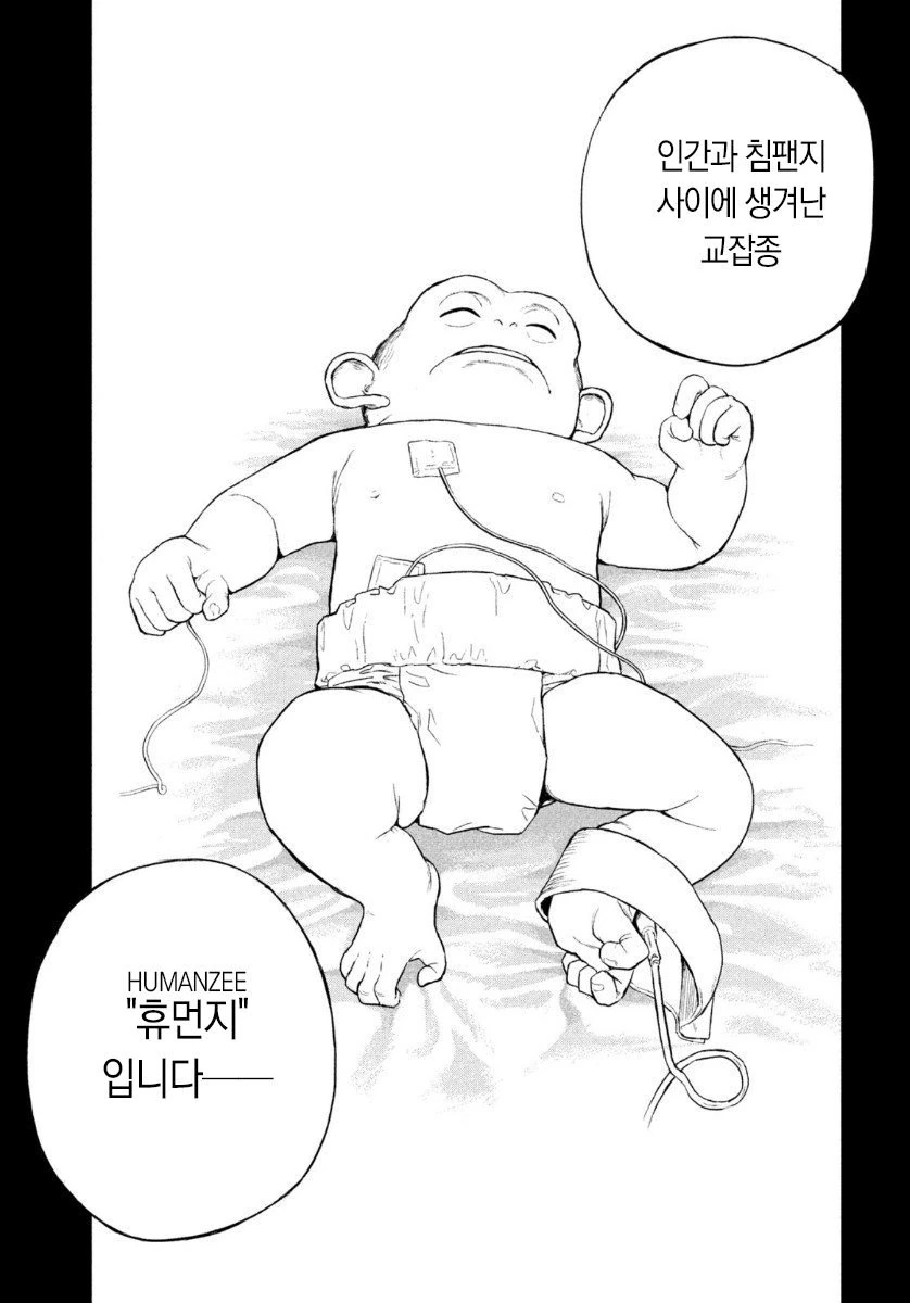 manga_2463262_009.webp