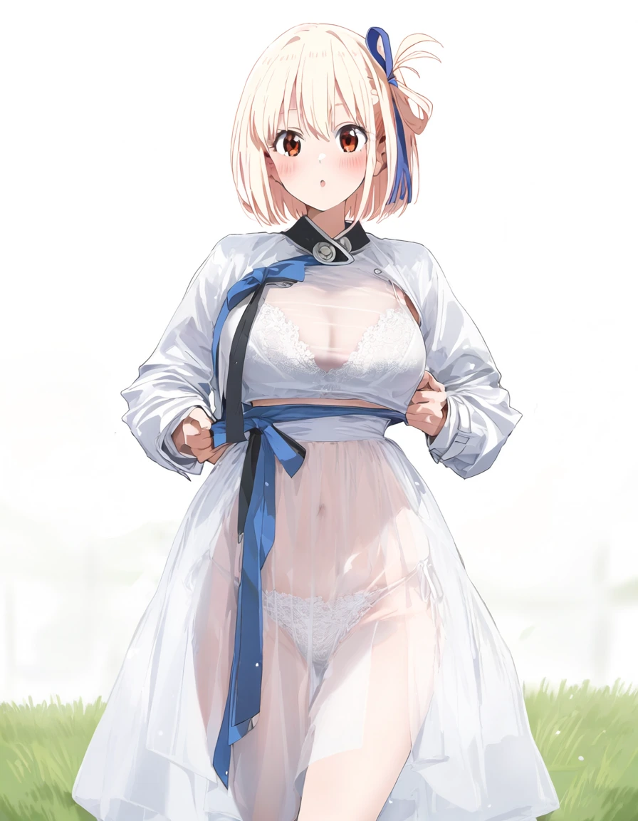 grass, white background s-536737727.png