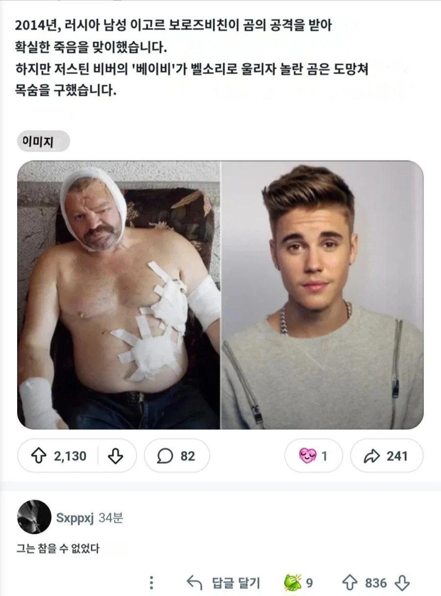 곰에게 습격받아 죽을 위기에서 뜨또 덕분에 목숨을 구한 러시아인_2.webp