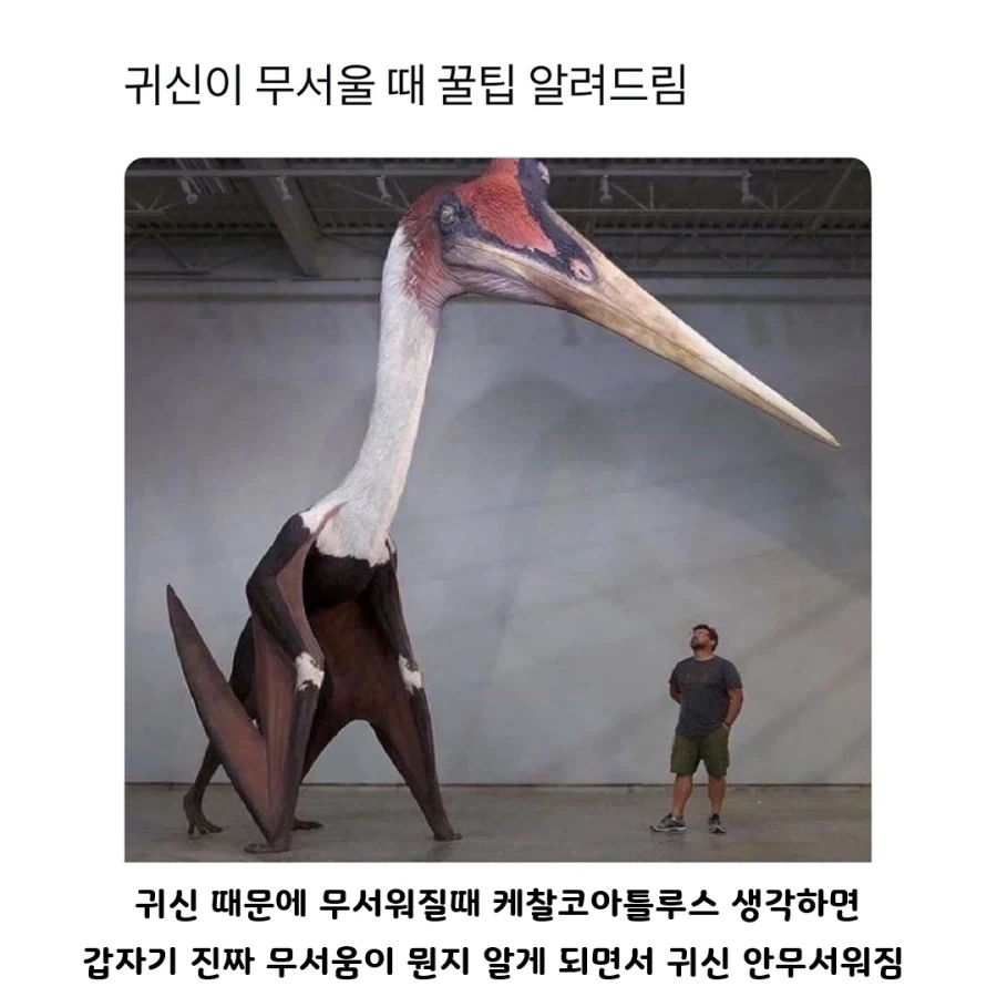 귀신이 무서울때 꿀팁 알려드림_1.webp