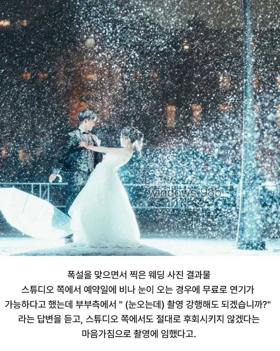 폭설에 웨딩촬영 감행한 부부_2.webp