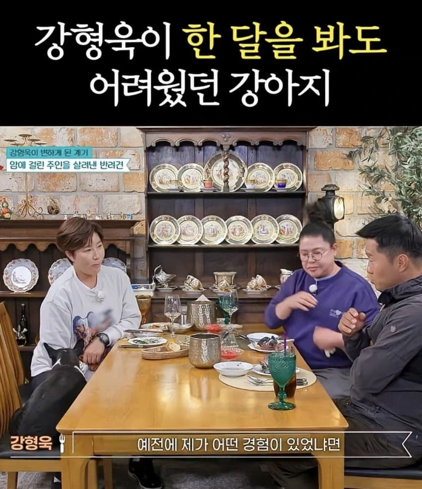 강형욱이 왜 문제인지 분석 못한 강아지....jpg_1.webp