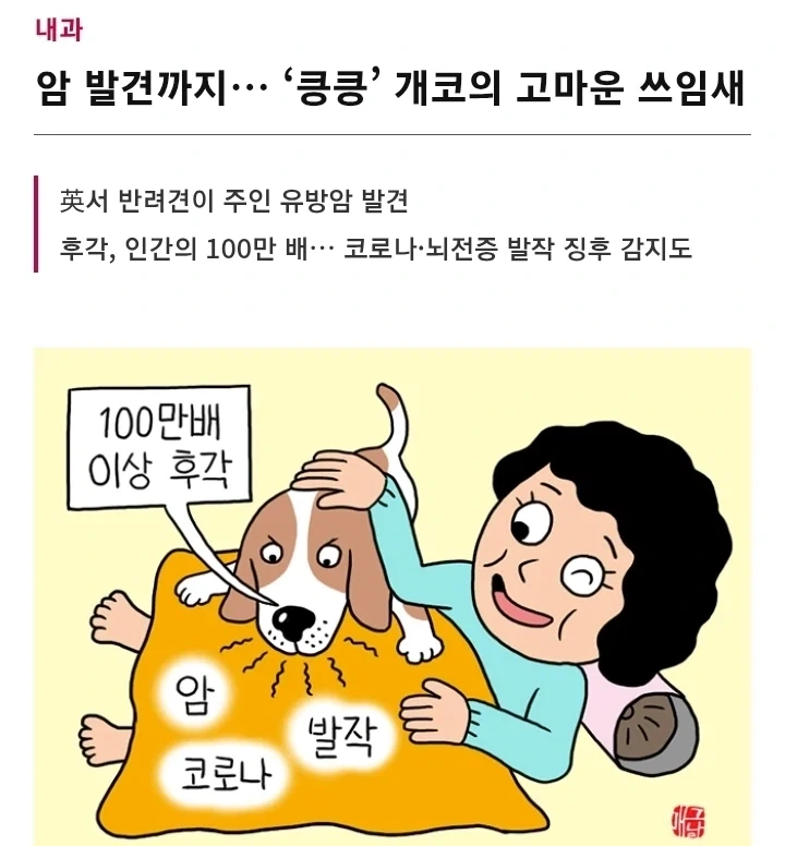 강형욱이 왜 문제인지 분석 못한 강아지....jpg_13.webp