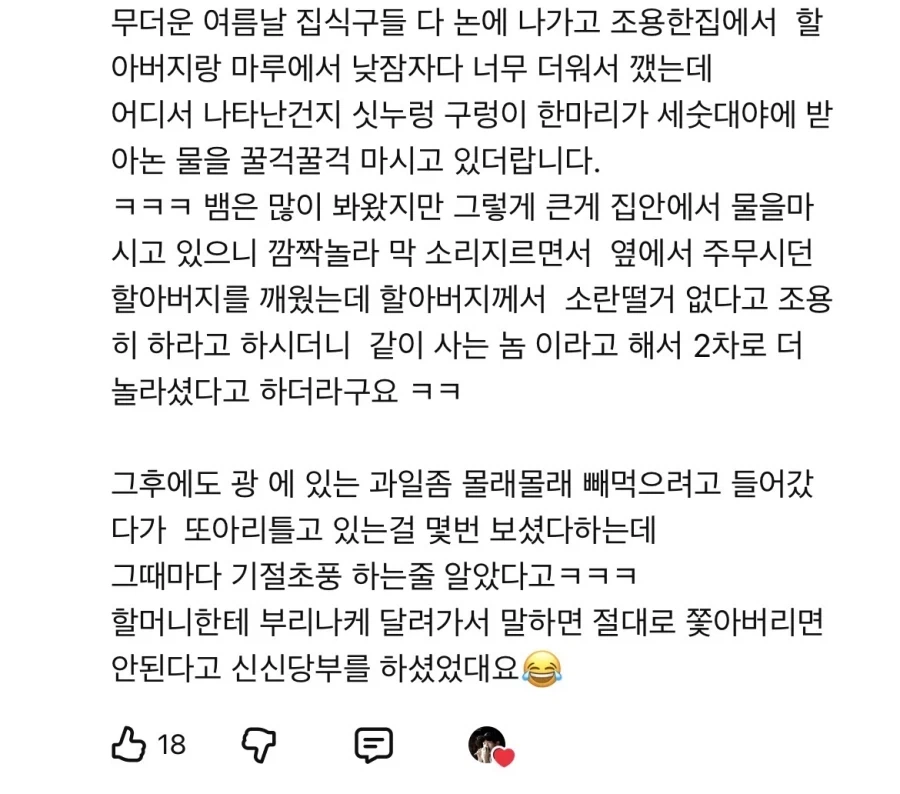 예전 우리나라에서 애완동물로 많이 키우던 동물.jpg_1.webp