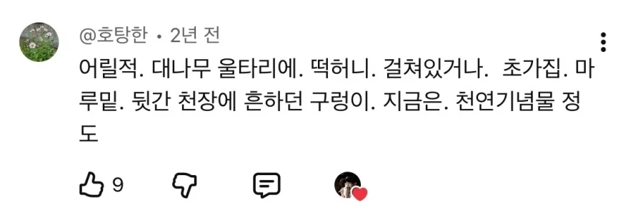 예전 우리나라에서 애완동물로 많이 키우던 동물.jpg_3.webp