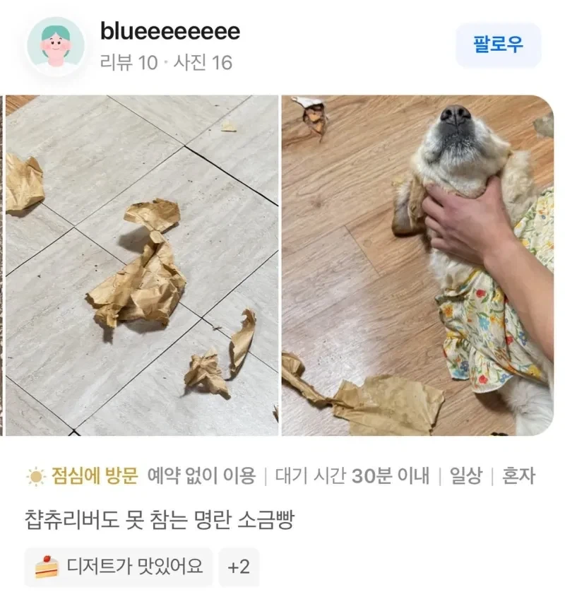 정말 맛있는 소금빵후기_1.webp