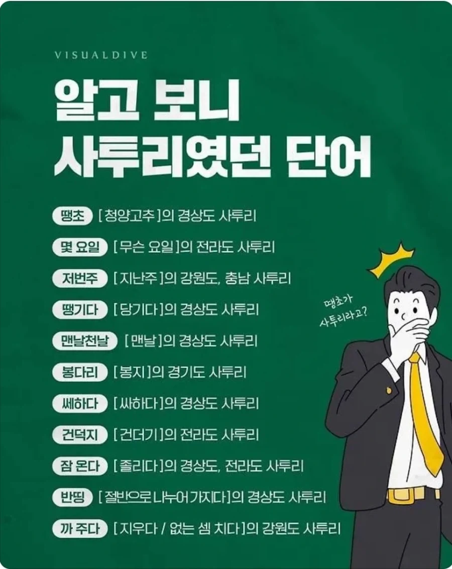 알고보니 사투리라는 단어들_1.webp