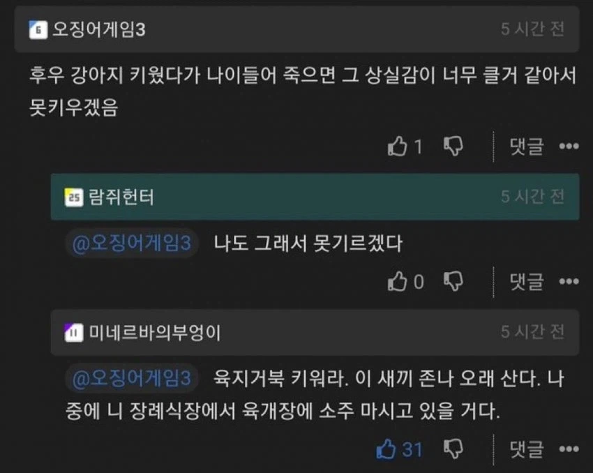 애완동물 수명이 걱정될때는_2.webp