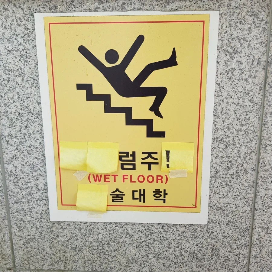 의외로 한국에 존재한다는 대학교와 전공_1.webp