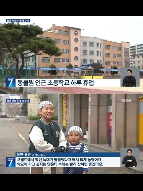 늑구 사건 당시 취재받았던 어린이들 충격적인 사실_1.webp
