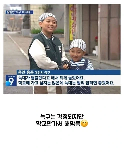 늑구 사건 당시 취재받았던 어린이들 충격적인 사실_2.webp
