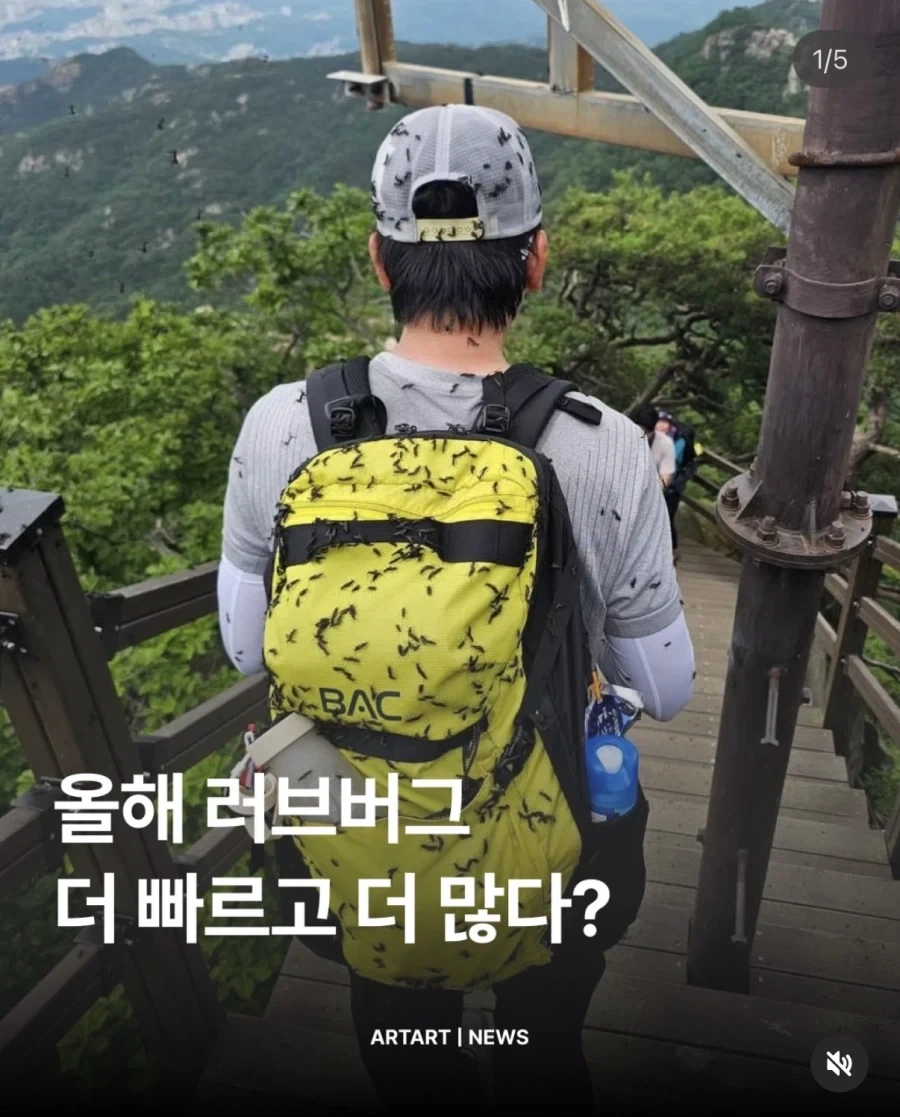 러브버그 더 빨리, 더 많이_1.webp