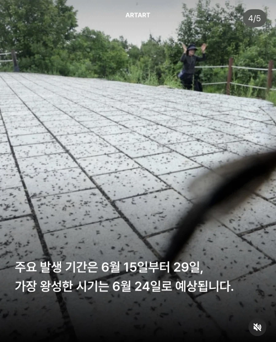 러브버그 더 빨리, 더 많이_2.webp