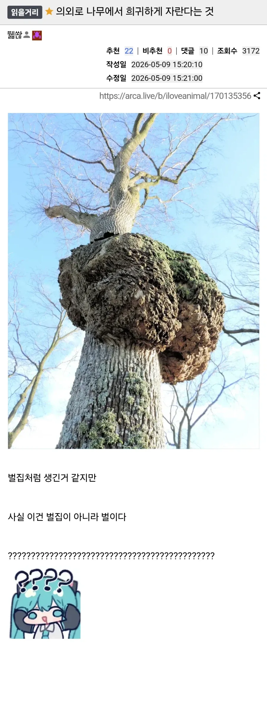 난 사실 벌집이아니라 벌이야_1.webp
