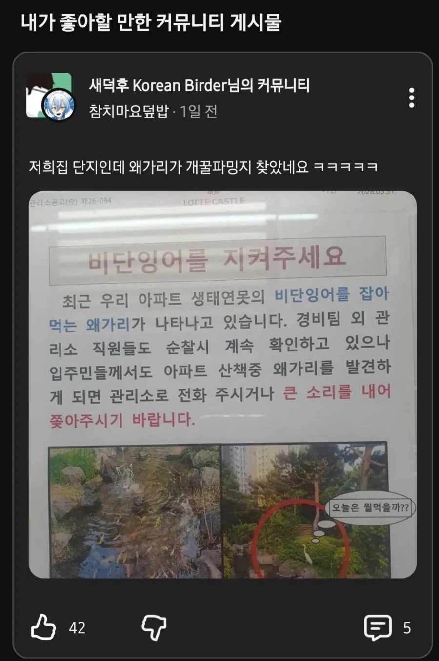 개꿀 파밍지 찾은 왜가리_1.webp