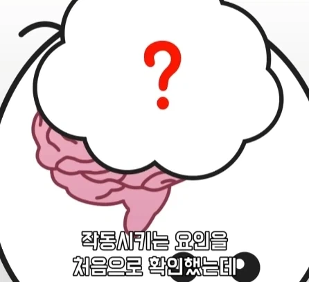 만성 통증 VS 공포·갈증·배고픔.jpg_7.webp