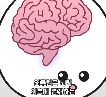 만성 통증 VS 공포·갈증·배고픔.jpg_9.webp