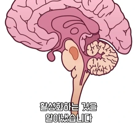 만성 통증 VS 공포·갈증·배고픔.jpg_13.webp
