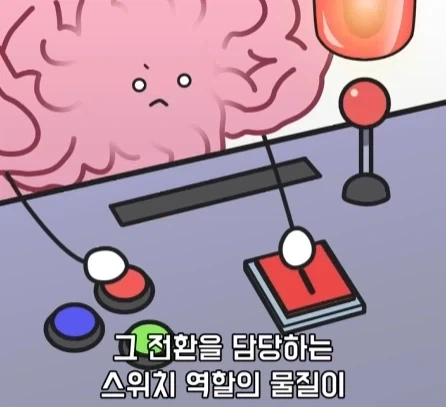 만성 통증 VS 공포·갈증·배고픔.jpg_16.webp