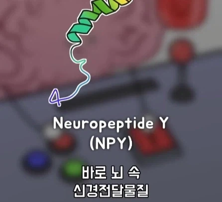 만성 통증 VS 공포·갈증·배고픔.jpg_17.webp