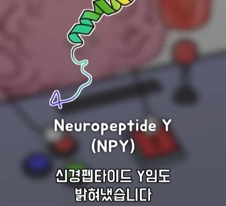 만성 통증 VS 공포·갈증·배고픔.jpg_18.webp