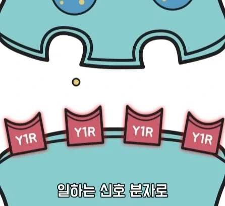 만성 통증 VS 공포·갈증·배고픔.jpg_21.webp