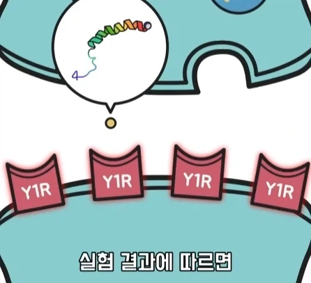 만성 통증 VS 공포·갈증·배고픔.jpg_22.webp