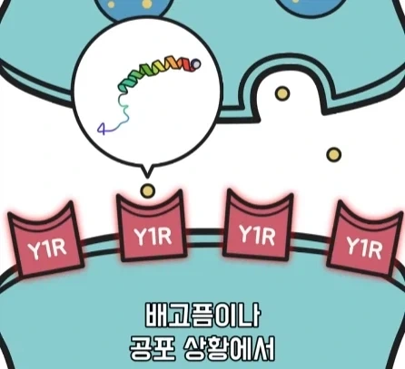 만성 통증 VS 공포·갈증·배고픔.jpg_23.webp