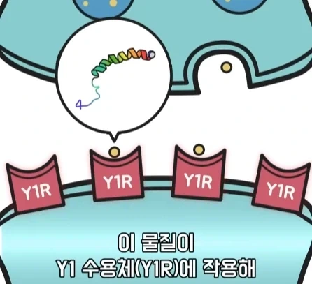 만성 통증 VS 공포·갈증·배고픔.jpg_24.webp