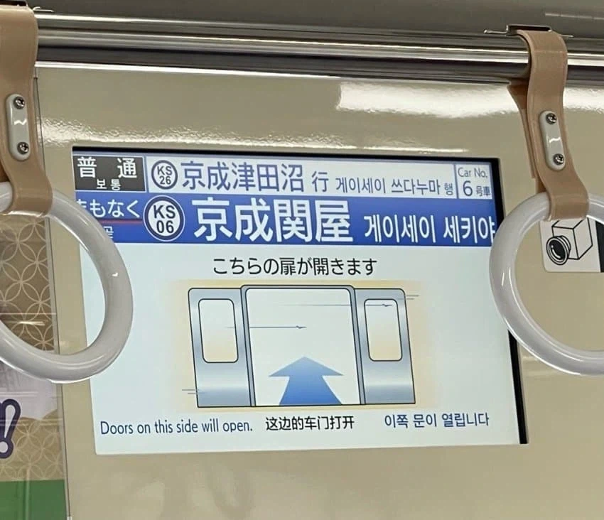 개새야_1.webp