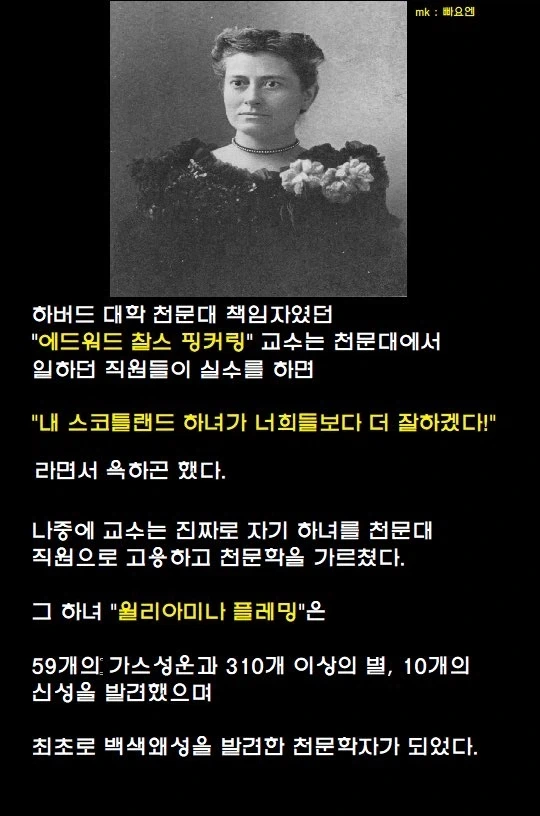 교수: