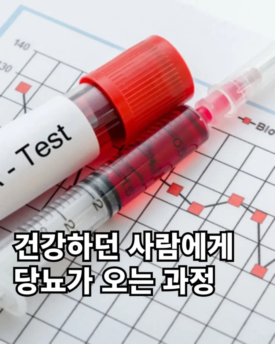 건강하던 사람에게 당뇨가 오는 과정.jpg_1.webp