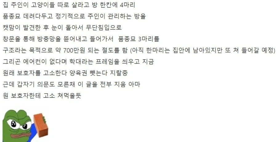 캣맘 레전드 렉돌 임시보호(?) 사건_2.webp