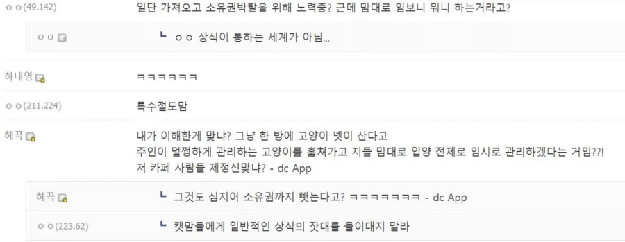 캣맘 레전드 렉돌 임시보호(?) 사건_3.webp