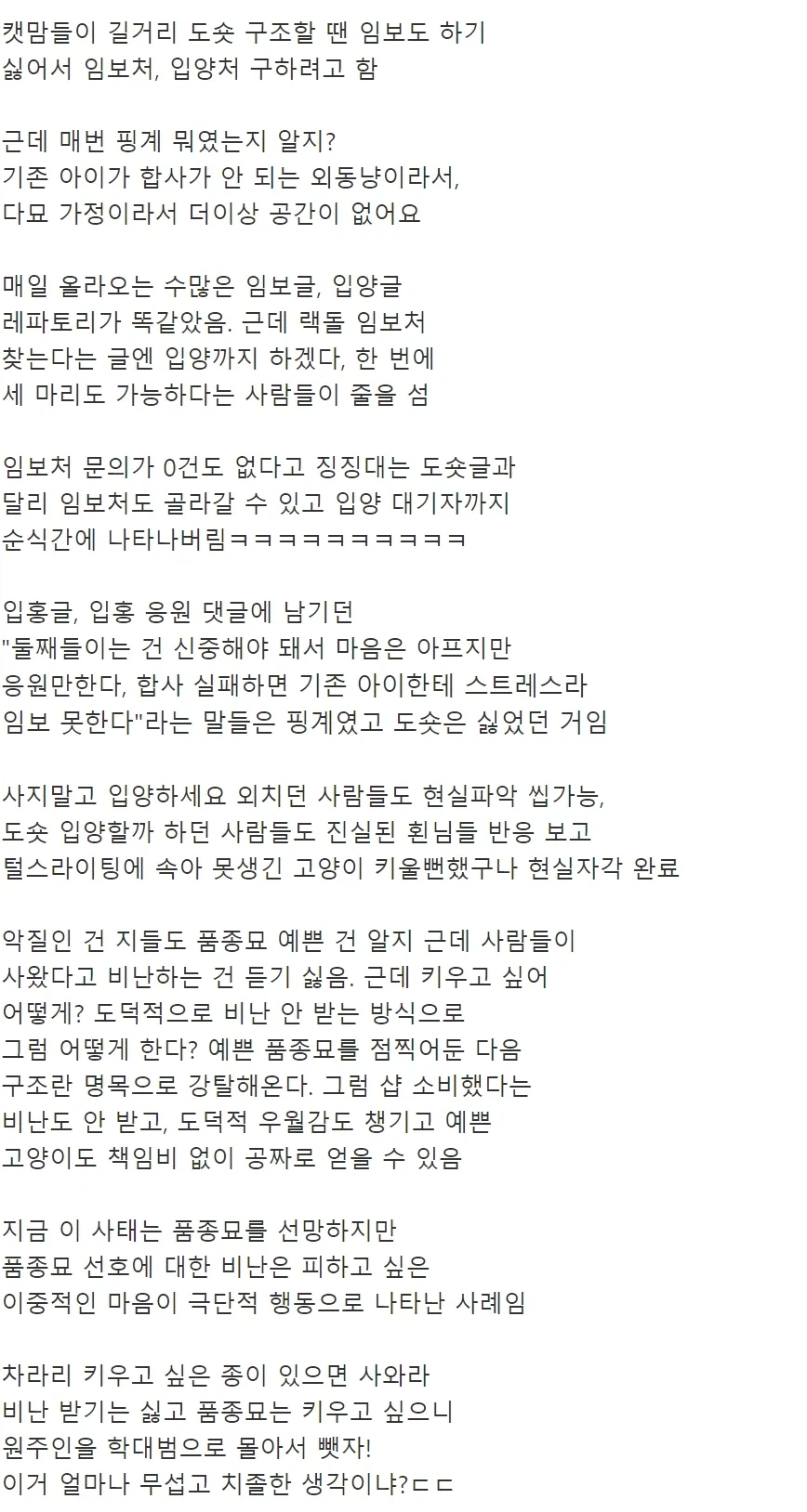 캣맘 레전드 렉돌 임시보호(?) 사건_5.webp