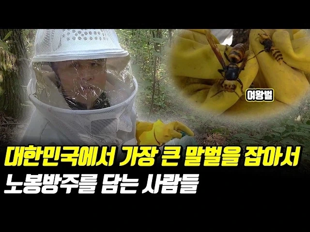 말벌에게는 사상 최악의 조합_2.webp
