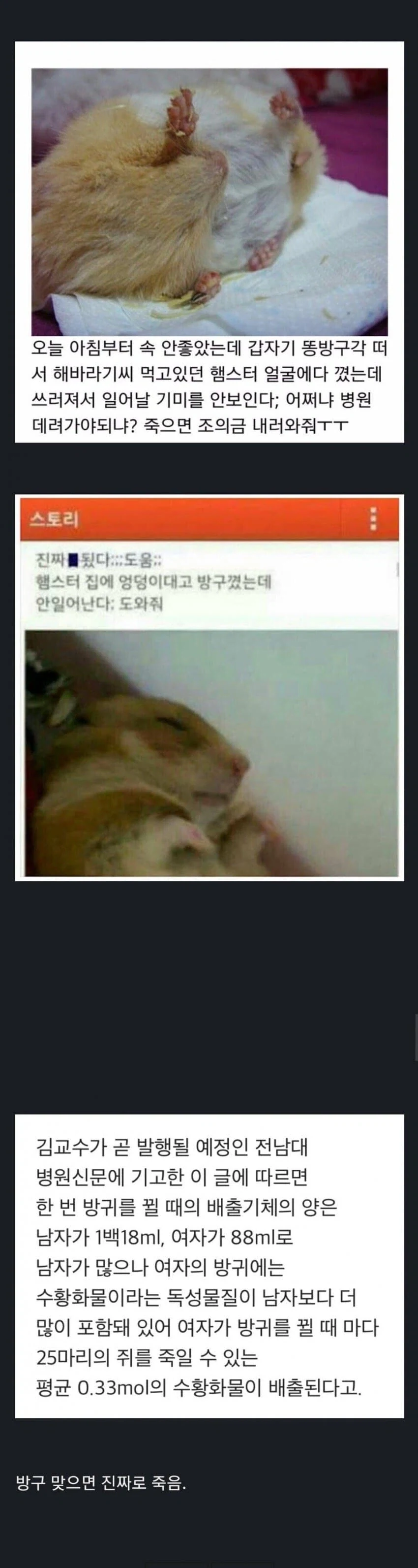 오싹오싹 잘자가스.jpg_1.webp