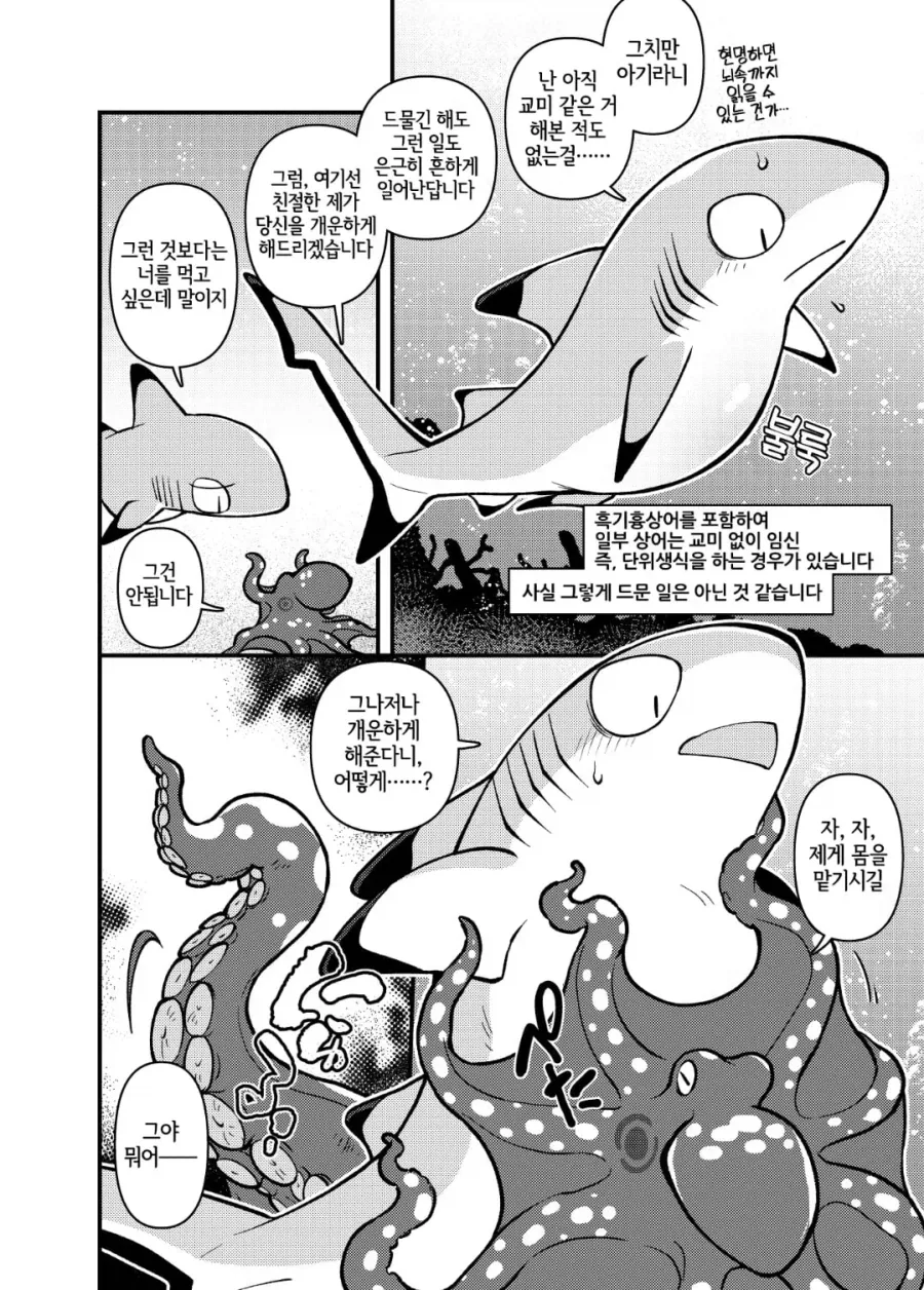 상어의 한자인 교(鮫)에 대한 흥미로운 가설_2.webp