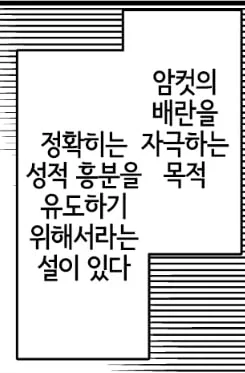 상어의 한자인 교(鮫)에 대한 흥미로운 가설_6.webp
