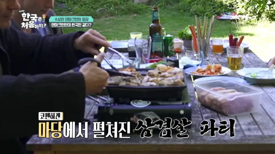 한국 너무좋아 덴마크인_3.webp