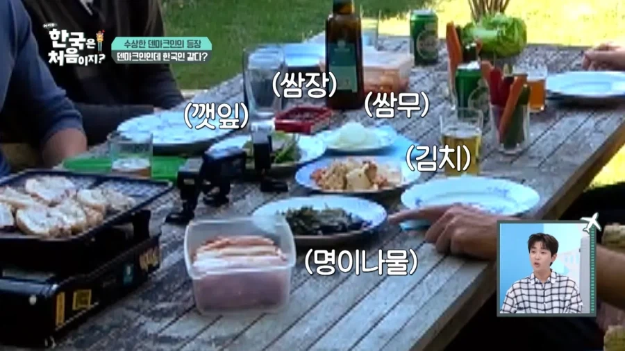 한국 너무좋아 덴마크인_5.webp